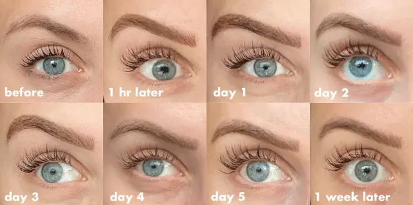 Microblading Healing Process | A Complete Guide