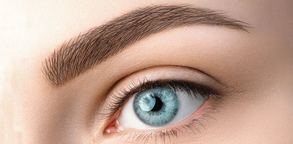 Combination Brows The Balance Of Microblading and Shading